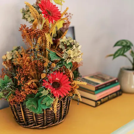 Quattro Zie * Rhodes City