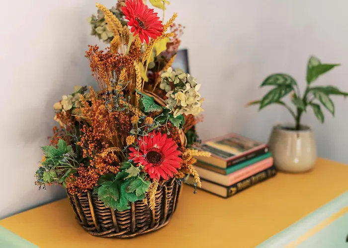 Quattro Zie * עיר רודוס